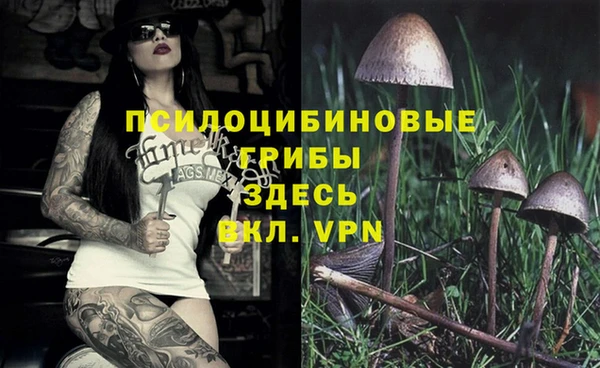 винт Алзамай