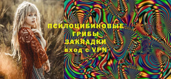 винт Алзамай