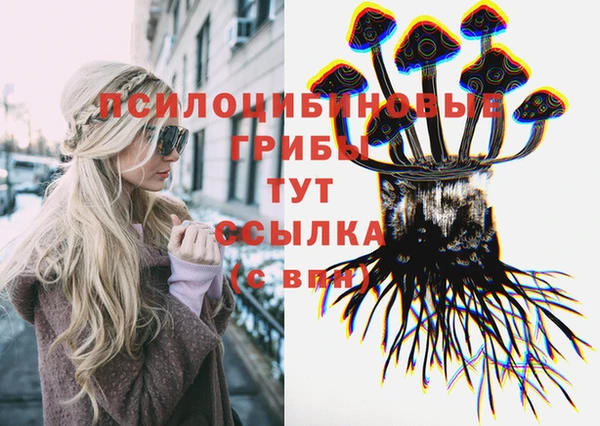 винт Алзамай