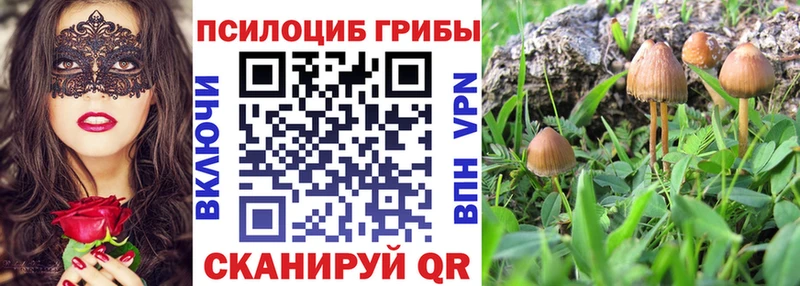 Галлюциногенные грибы Cubensis  Трубчевск 