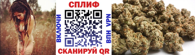 Конопля марихуана  Трубчевск 